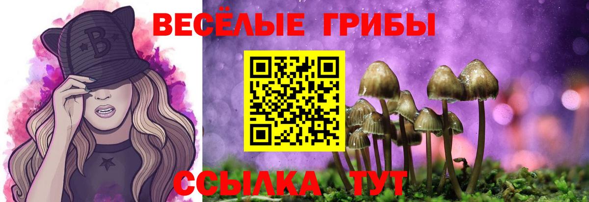 Галлюциногенные грибы MAGIC MUSHROOMS  Вход с VPN  Тельмана 
